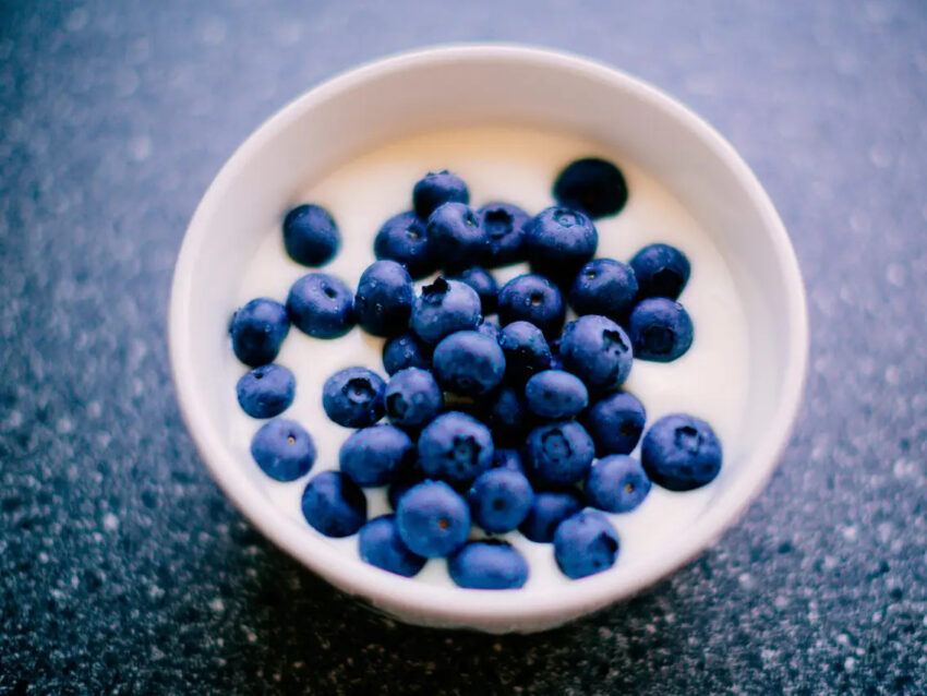 Infusion of Blueberries: Benefits, How to Make it, and Contraindications